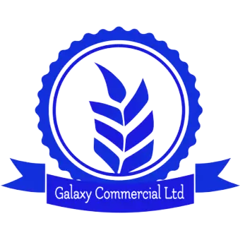 logo galaxy commercial