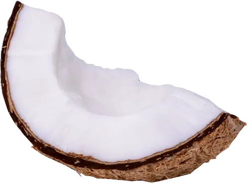coconut-image-2